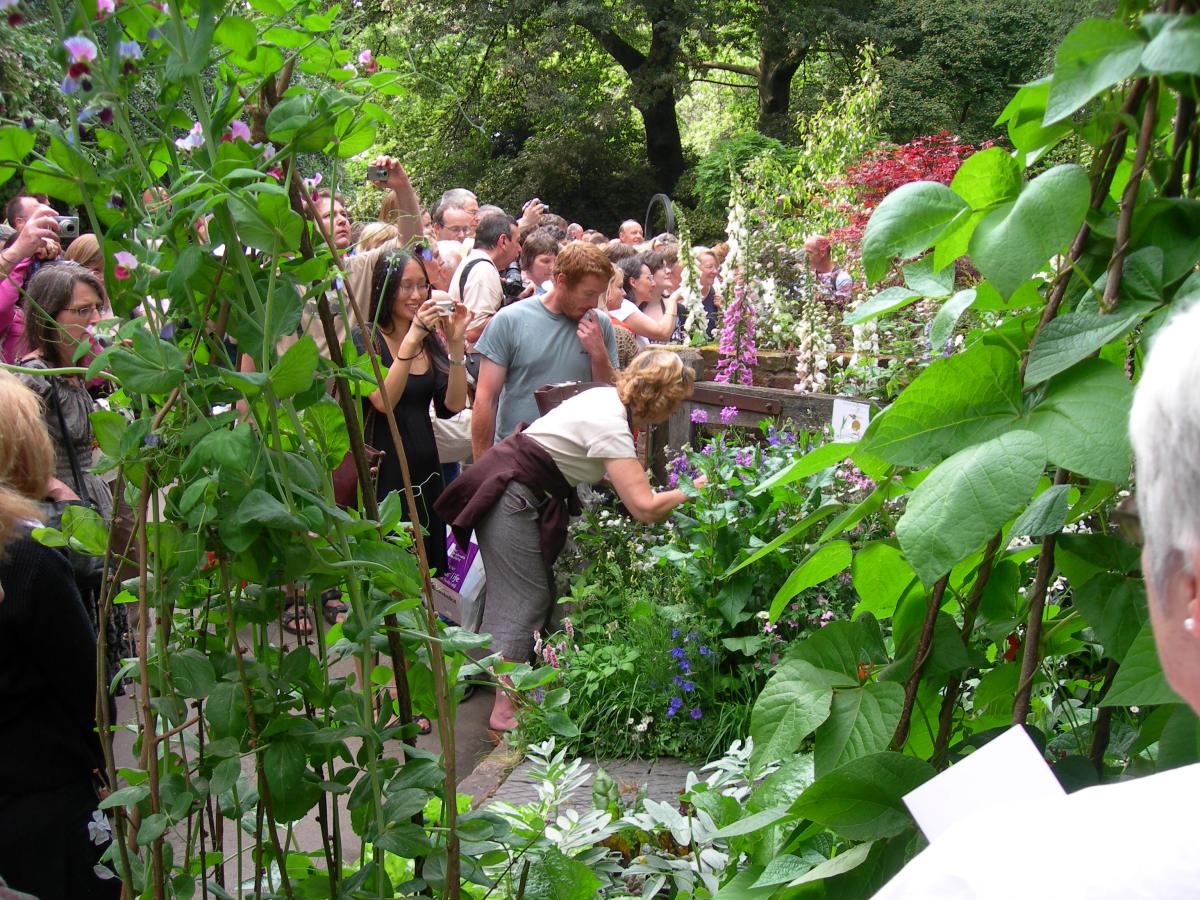 Chelsea Chat  – ‘Paws’ for&nbsp;thought